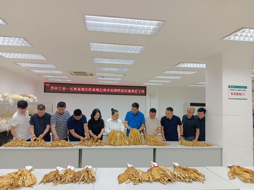吉林长春市局 公司 赴福建邵武烟草参加 烤烟 新修国标验证交流会