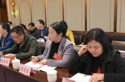 南平市五届人大五次会议上,延平团代表提了哪些建议?