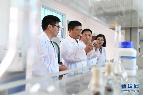 走进田间地头 科技特派员在福建南平的成长之路