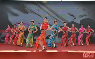 南平人才 乡村振兴的绿色引擎